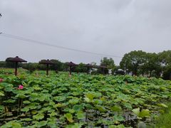 -嘉北郊野公园