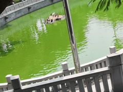 -梵天禅寺
