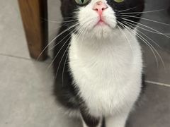 -原田新料理(1912店)