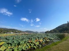 -南北湖风景区