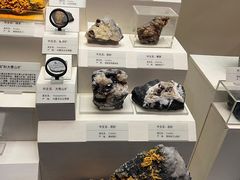 -天津自然博物馆