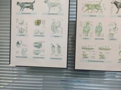 -动物缘宠物医院·骨科·猫科(西二环店)