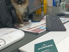 -派特宠物医院(圆融广场店)