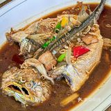 打卡望出去就是魔都三件套的餐厅