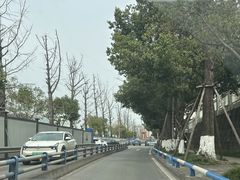 -重庆园博园