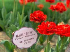 -江南大学(蠡湖校区)