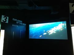 -同济大学四平路校区深海探索馆