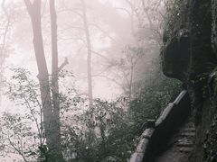 -青城山