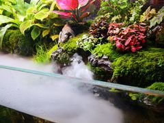 -牛品福潮汕牛肉火锅(旺庄店)