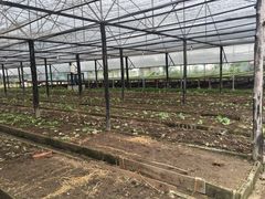 -Ohkajhu Organic Farm Sansai