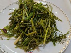 高山木兰芽-百瑞谷饭庄