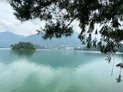 -广州市流溪河国家森林公园