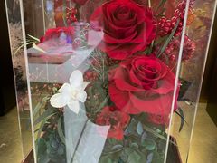 -植物学家的女儿(北马道巷店)