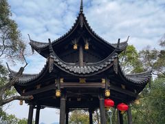 -金鸡山公园