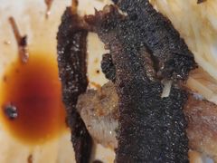 -城北食府(枫林店)