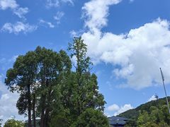 -东钱湖旅游度假区