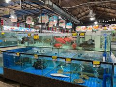 -绿雅居原生态农庄(小涌店)