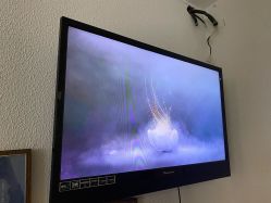 点击看大图 -薇薇安花系SPA