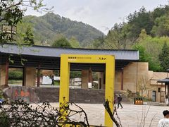 -天目山大树王景区