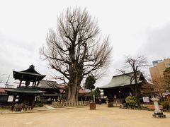 -医王山·飞騨国分寺