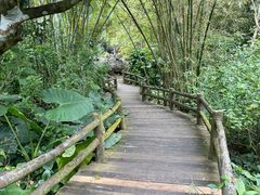 -海口火山口国家地质公园