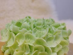 -福气鲜活面包·生日蛋糕