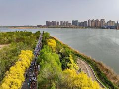 -天津东丽湖风景区