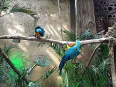 -杭州开元森泊度假乐园