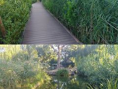 -三里河公园