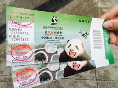 -成都大熊猫繁育研究基地