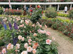 -人民公园(罗湖区)