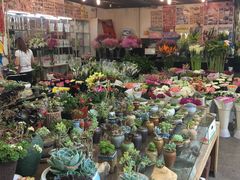 -双季花艺园艺市场(浦东店)