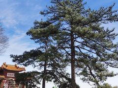 -青岩寺风景区