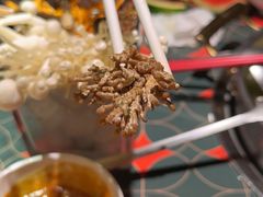 珊瑚菇-南城十里潮汕鲜牛火锅·鲜虾生滚粥(融汇老商埠店)