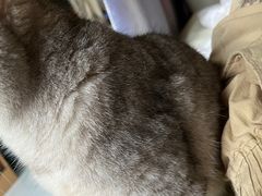 -平行世界·猫咖(首经贸店)