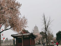 -大雁塔北广场音乐喷泉