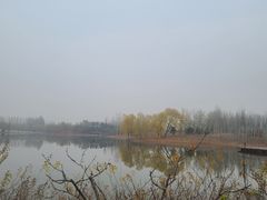 -东郊湿地公园