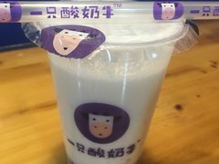 -一只酸奶牛(奎星楼店)