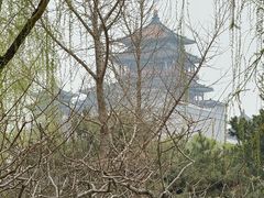 -莲花池公园