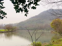 -八卦田遗址公园