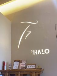 -Halo FLY运动空间