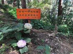 -苍山感通索道