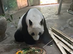 -柳州市动物园