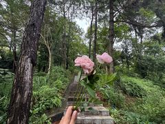 -广州白江湖森林公园