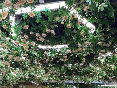 -山西派(桥东街店)