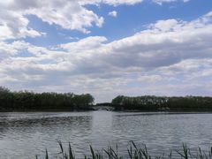 -大兴滨河森林公园