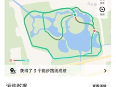 -大兴滨河森林公园
