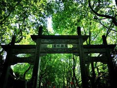 -杭州黄龙洞