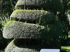 -苏州河梦清园环保主题公园