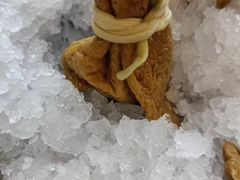 -鼓楼东街老火锅(鼓楼店)